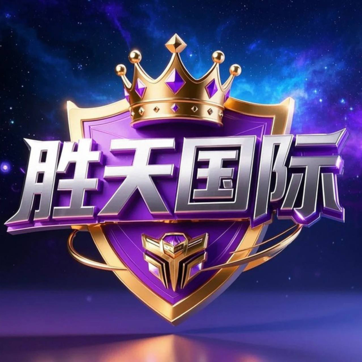 胜天国际- NG旗下新台